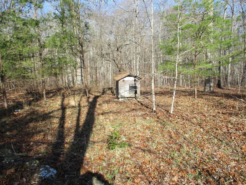 Creek, Driveway, Well, Public Water : Dunlap : Sequatchie County : Tennessee