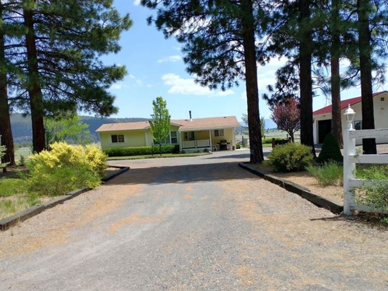 Must Love Country : Dorris : Siskiyou County : California