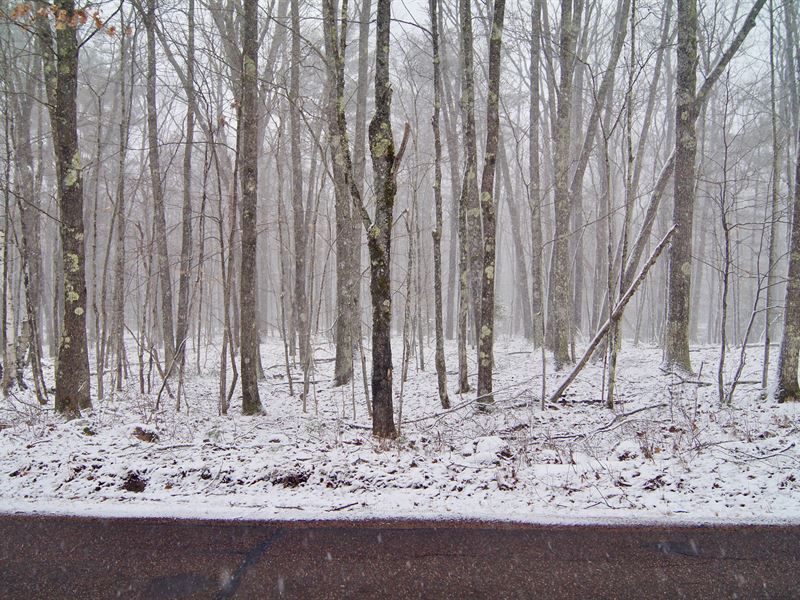 1.79 Acres, Sawyer County : Hayward : Sawyer County : Wisconsin