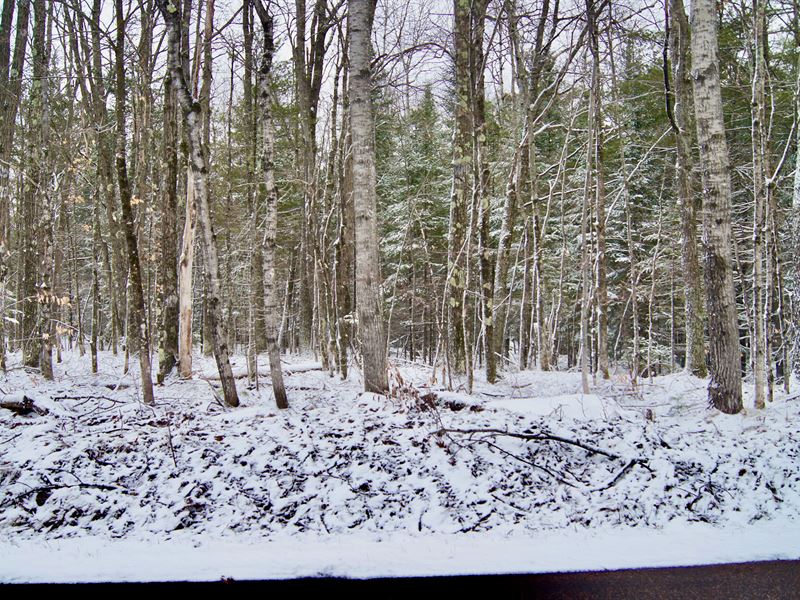 1.79 Acres, Sawyer County : Hayward : Sawyer County : Wisconsin
