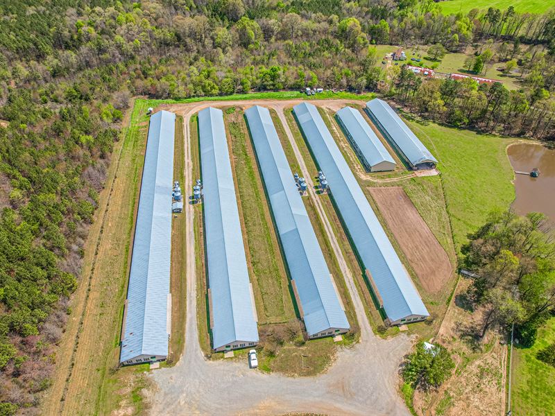 Breeder Farm in Chatham County : Staley : Chatham County : North Carolina