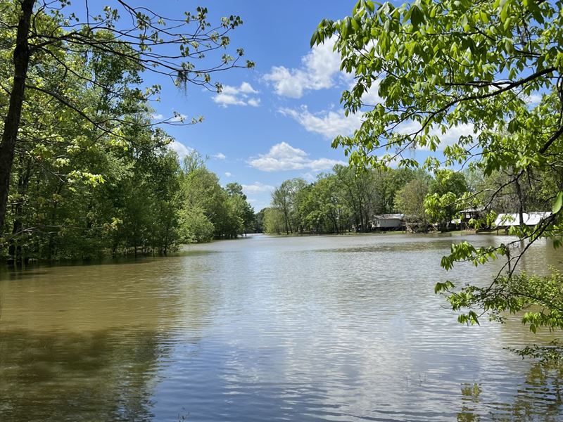 River Oaks Lot in Orrville, AL : Orrville : Dallas County : Alabama