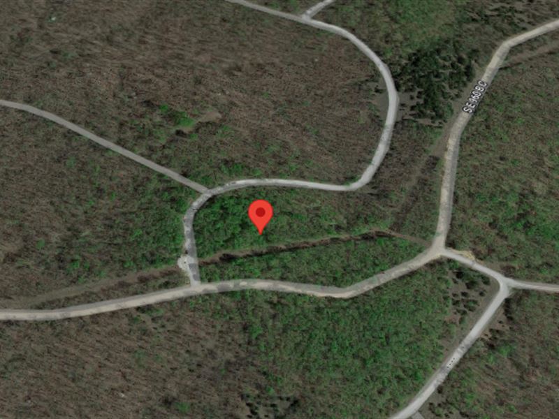Amazing 3 Ac Lot, Owner Financing : Edwards : Benton County : Missouri