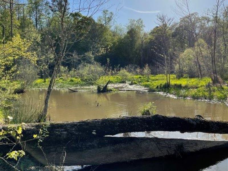 Brooks Creek : Lexington : Oglethorpe County : Georgia