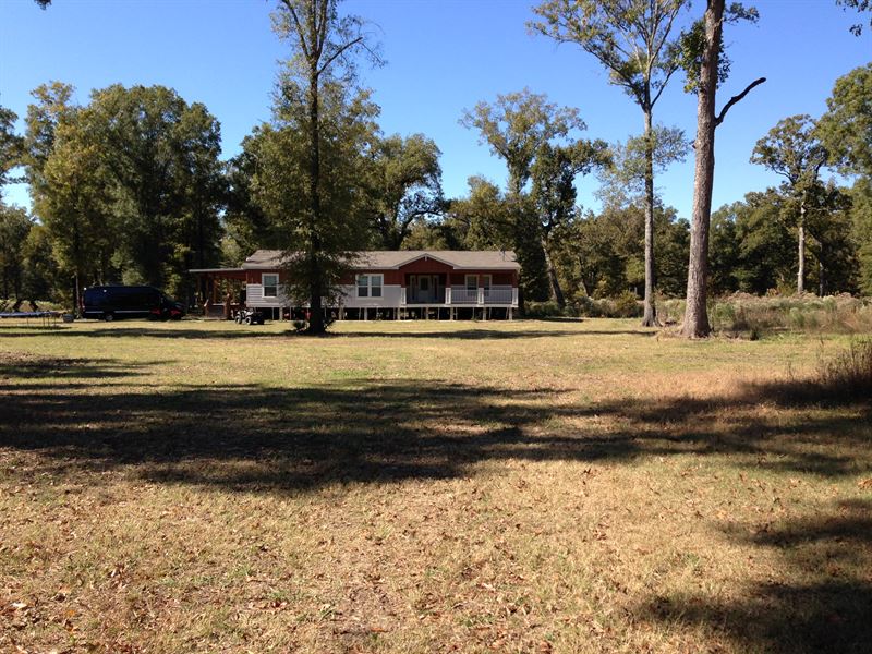 High Fence, Hunting : Clayton : Concordia Parish : Louisiana