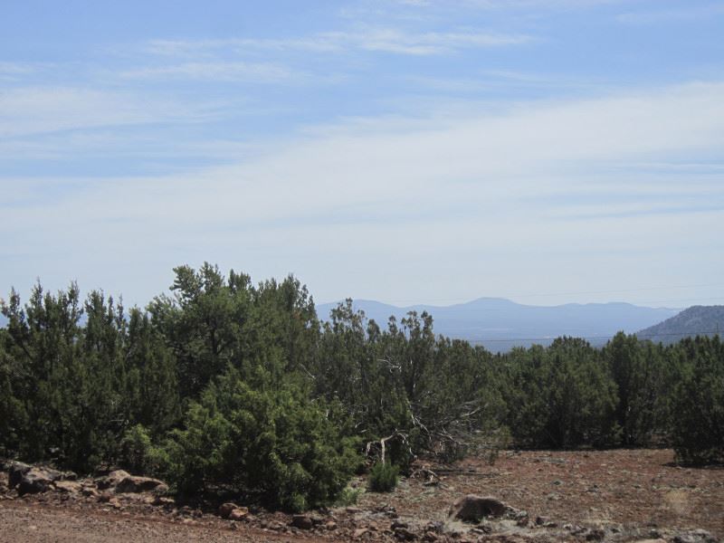 Electricity Nearby, Mountain Views : Show Low : Apache County : Arizona