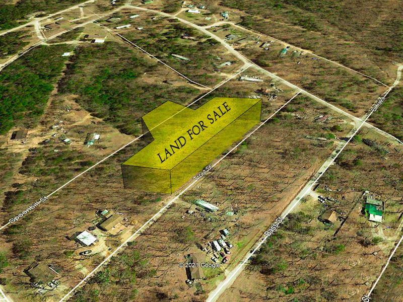 Perfect Location, Build Dream Home : Kissee Mills : Taney County : Missouri
