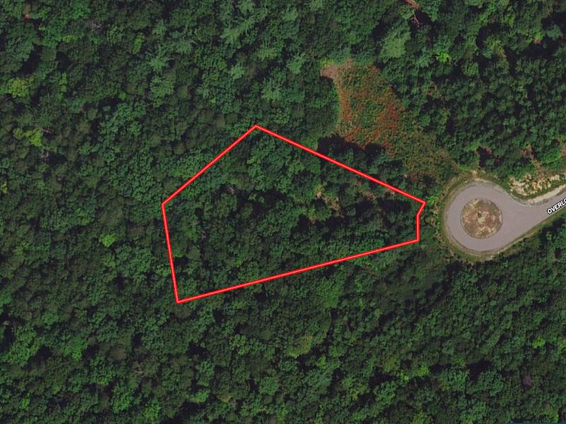 1.5 Acres of Resi : Pittsville : Pittsylvania County : Virginia
