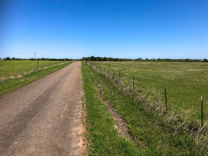 65 Acres of Rolling Meadow in Talco : Talco : Titus County : Texas