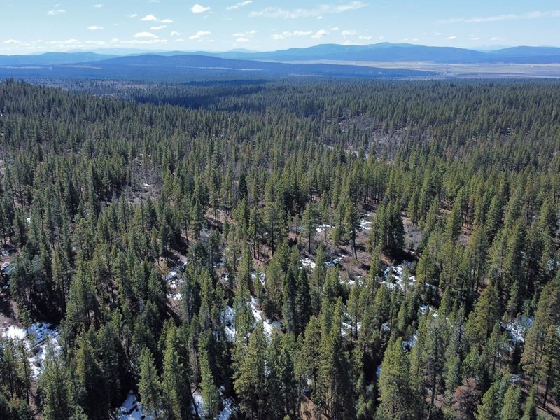 Rare, 12.56 Oregon Acres & Trees : Bonanza : Klamath County : Oregon