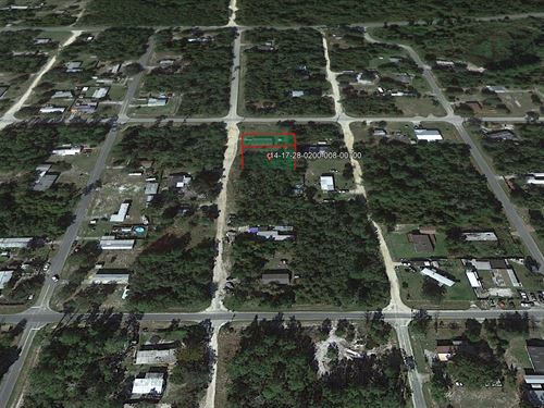 .12 Acre in Paisley, $150/Mo : Paisley : Lake County : Florida
