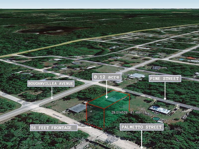 .12 Acre in Paisley, $200 a Month : Paisley : Lake County : Florida