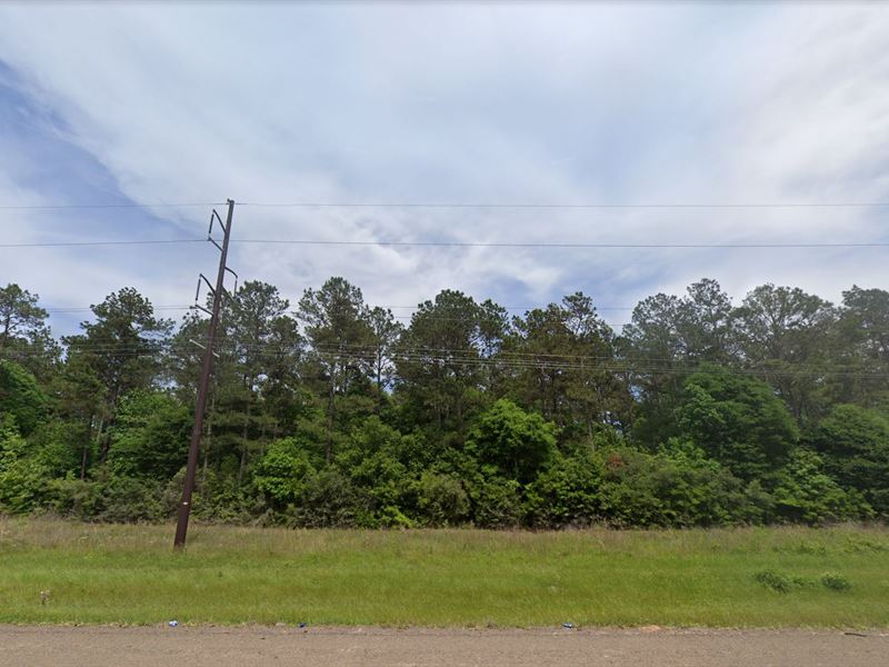 .45 Acre in Coldspring, Texas : Coldspring : San Jacinto County : Texas