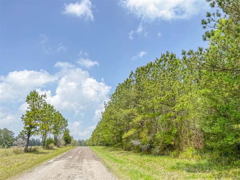13.258 Acres, T-6 Caney Pines : Chester : Polk County : Texas