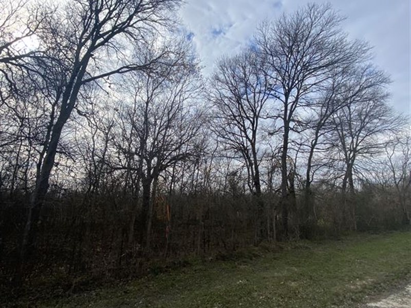 Owner Financed Land Near Austin : Luling : Caldwell County : Texas