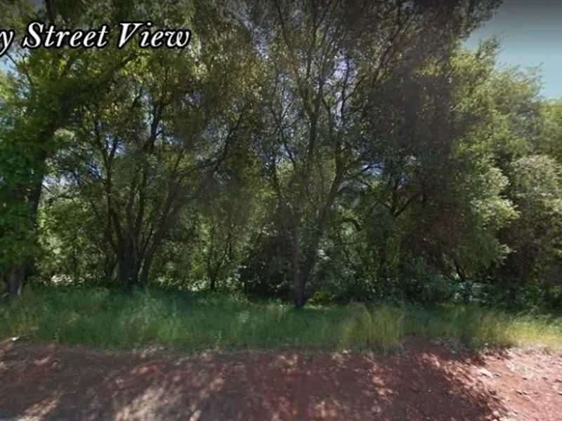 A 1.87 Acre Lot in Sonora, CA : Sonora : Tuolumne County : California