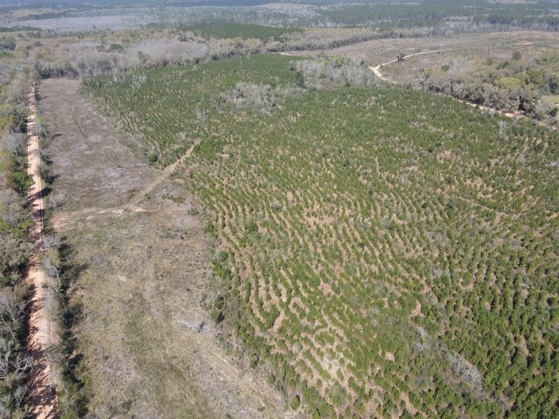 39 Ac Beda Rd : Wing : Covington County : Alabama
