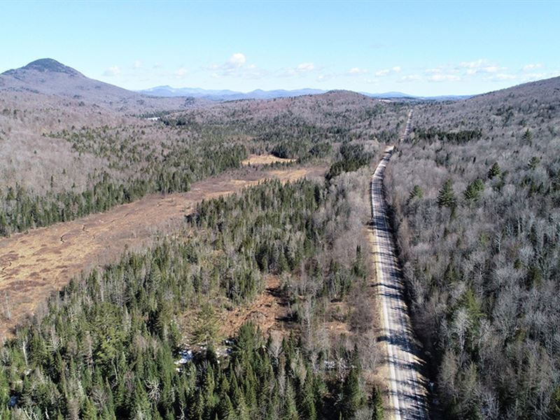 Headwaters Forest : Elmore : Lamoille County : Vermont