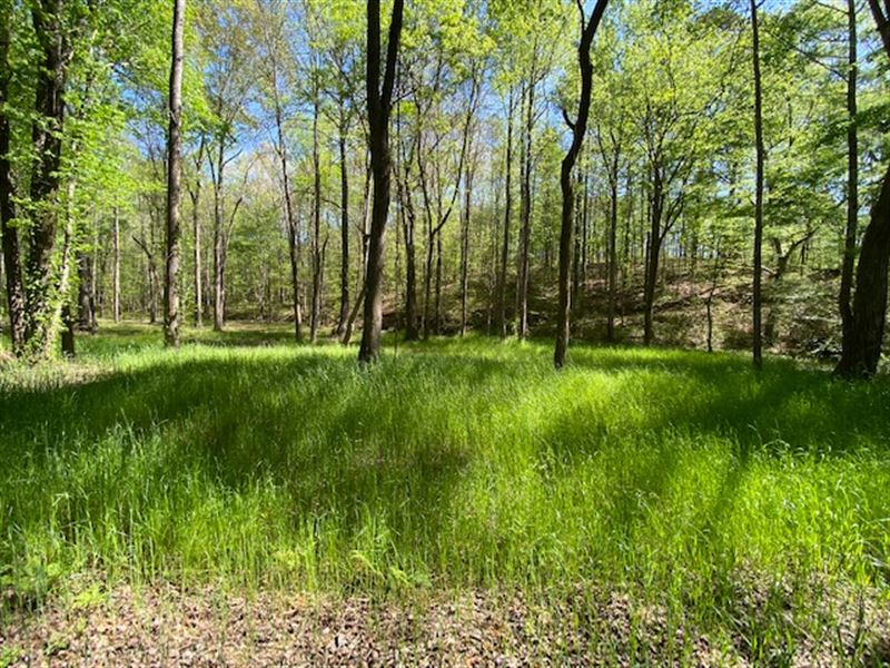 Tanyard Branch Hideaway : Pell City : Saint Clair County : Alabama