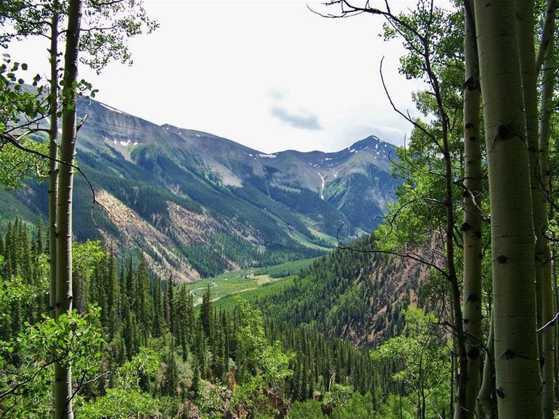 Lily Load Mining Claim : Lake City : Hinsdale County : Colorado