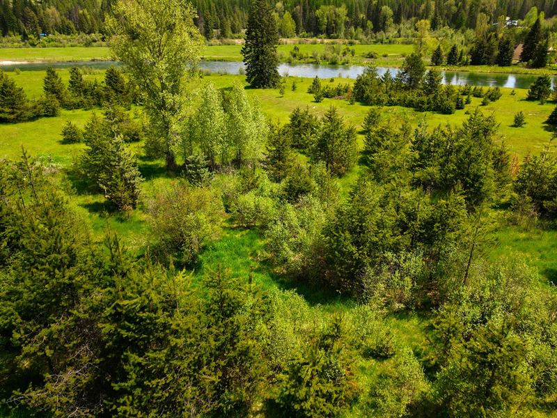 Portage Trail on Priest River : Priest River : Bonner County : Idaho