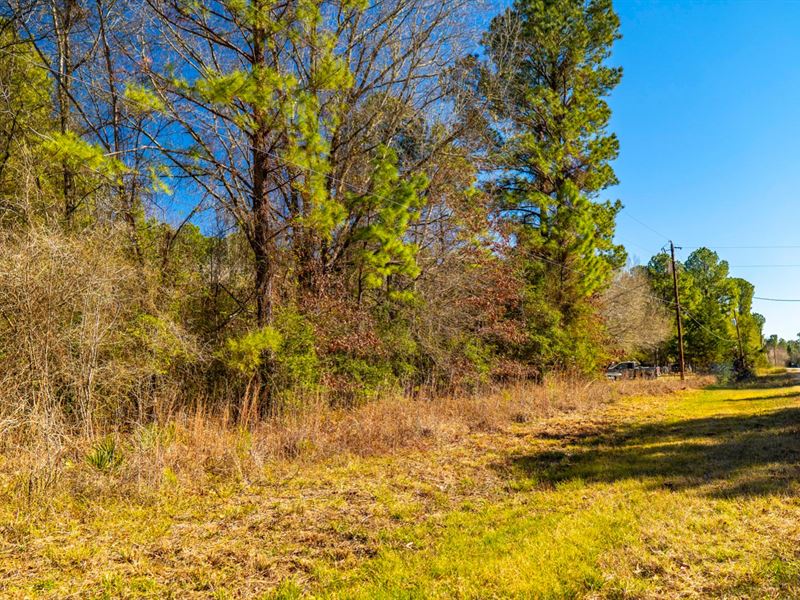 Wooded Lot, Utilities, Near Lake : Livingston : Polk County : Texas