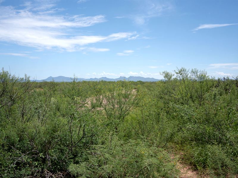 Live Life That You Want in Arizona : Douglas : Cochise County : Arizona