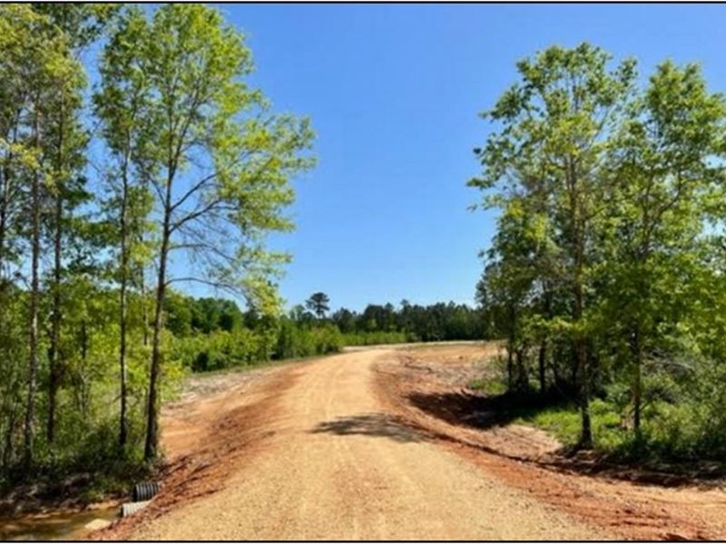 15 Acres in Lincoln County in Bogue : Bogue Chitto : Lincoln County : Mississippi