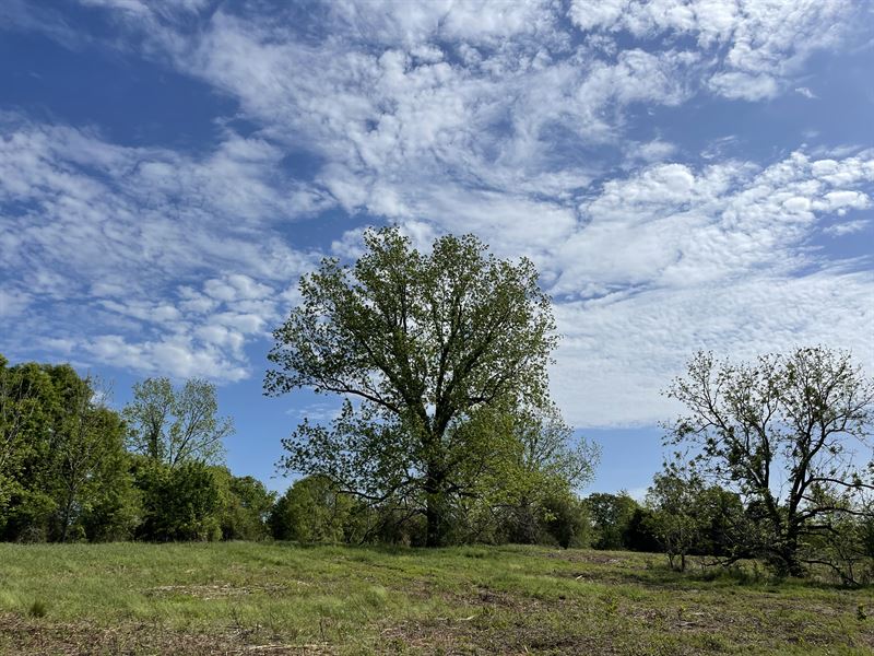 Club Pond Tract South : Brantley : Crenshaw County : Alabama