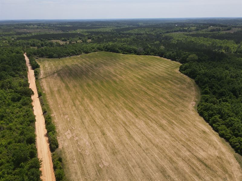 County Road 348 Tract South : Elba : Coffee County : Alabama