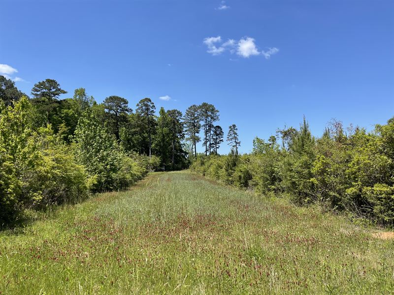 Highway 189 Tract South : Elba : Coffee County : Alabama