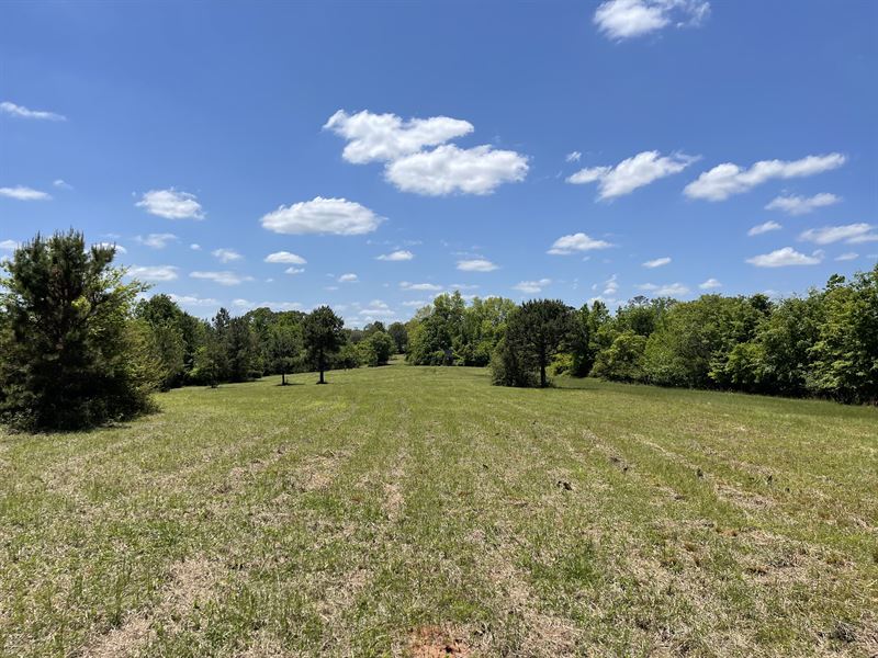 Highway 189 Tract North : Elba : Coffee County : Alabama