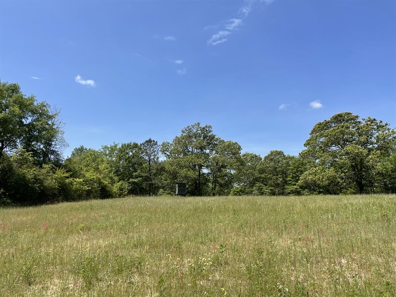 County Road 348 Tract North : Elba : Coffee County : Alabama