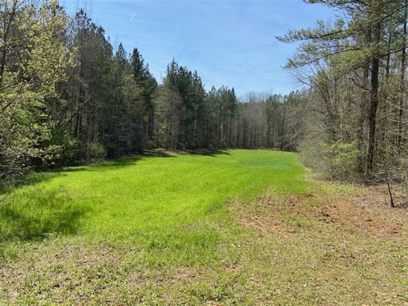 233+/- Ac in Clay County : Lineville : Clay County : Alabama