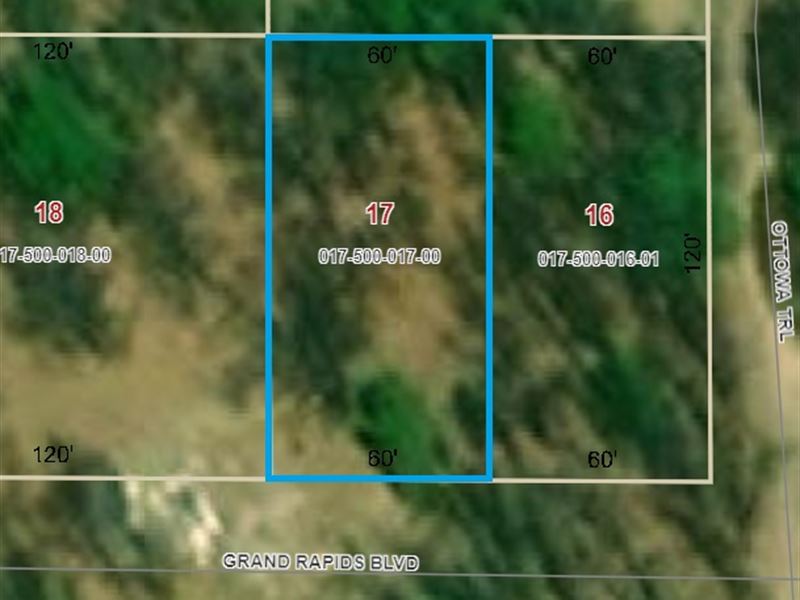 Small Vacant Montcalm County Lot : Reynolds Township : Montcalm County : Michigan