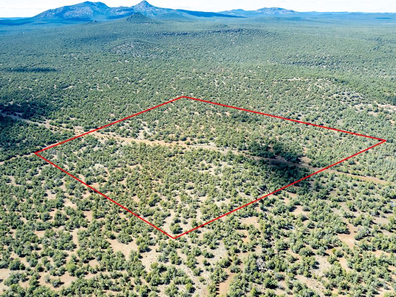 39.81 Ac in Coconino County, AZ : Ash Fork : Coconino County : Arizona