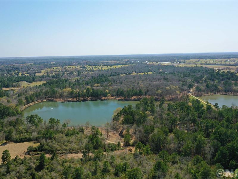 10 Acres Lake Access with Pond Site : Centerville : Leon County : Texas