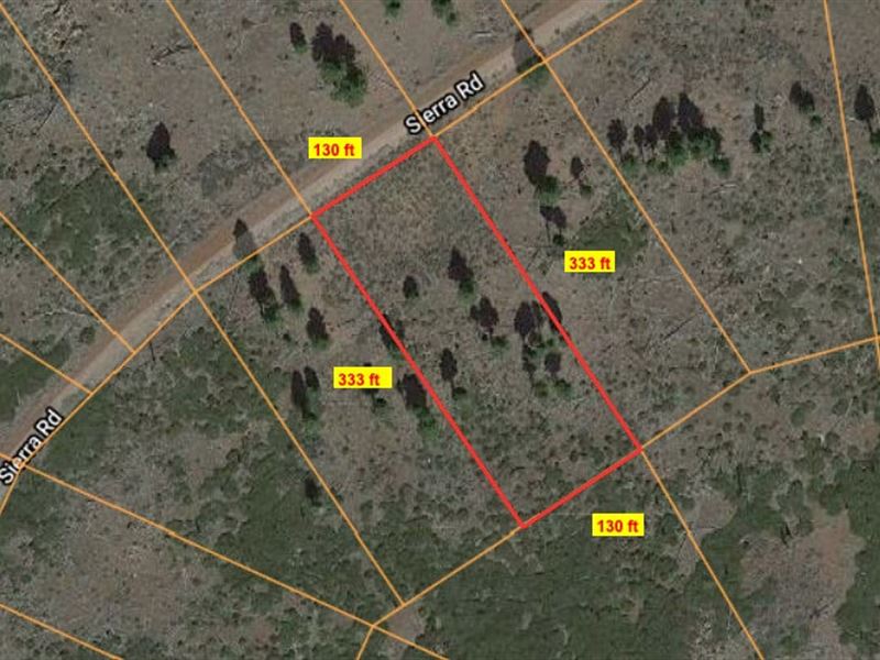 Residential & Near Mountain : Alturas : Modoc County : California
