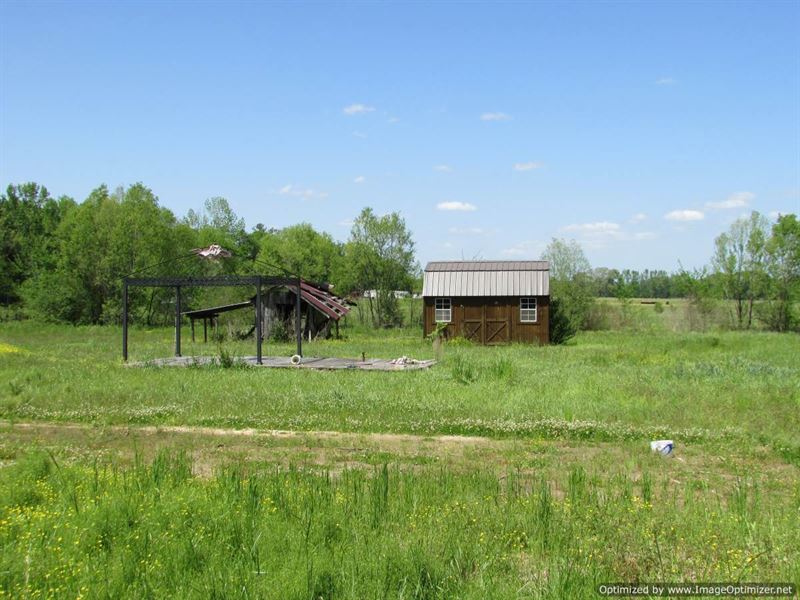 30+/ AC Mini Farm in Canton, MS Land for Sale in Canton, Madison