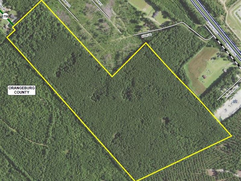 Council Tract : Orangeburg : Orangeburg County : South Carolina