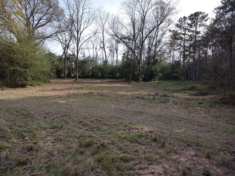 Your Choice 77 Acres : Clio : Barbour County : Alabama