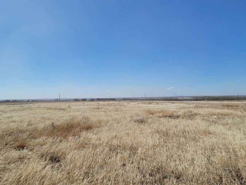 Holzworth Farms Crp : Brush : Weld County : Colorado