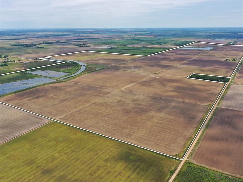 Farmland in Chicot County, Arkansas : Lake Village : Chicot County : Arkansas