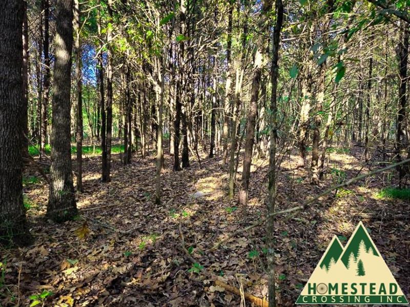Lot Near The Lake, Electric Nearby : Diamond City : Boone County : Arkansas