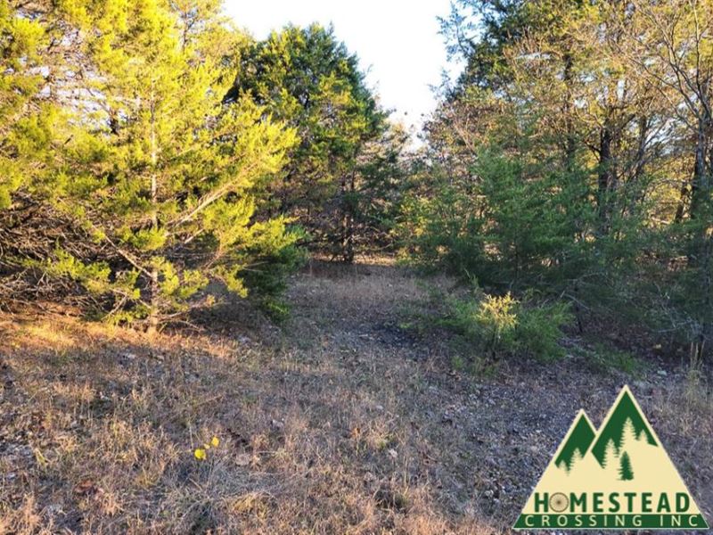 Build Your Dream Home At The Lake : Diamond City : Boone County : Arkansas