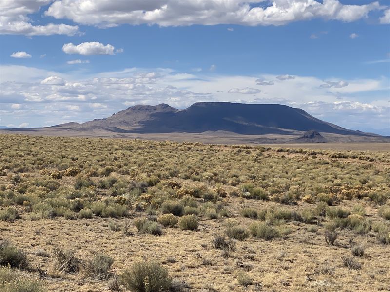 Five Acres Near Hwy 42 & Rio Grande : San Luis : Costilla County : Colorado