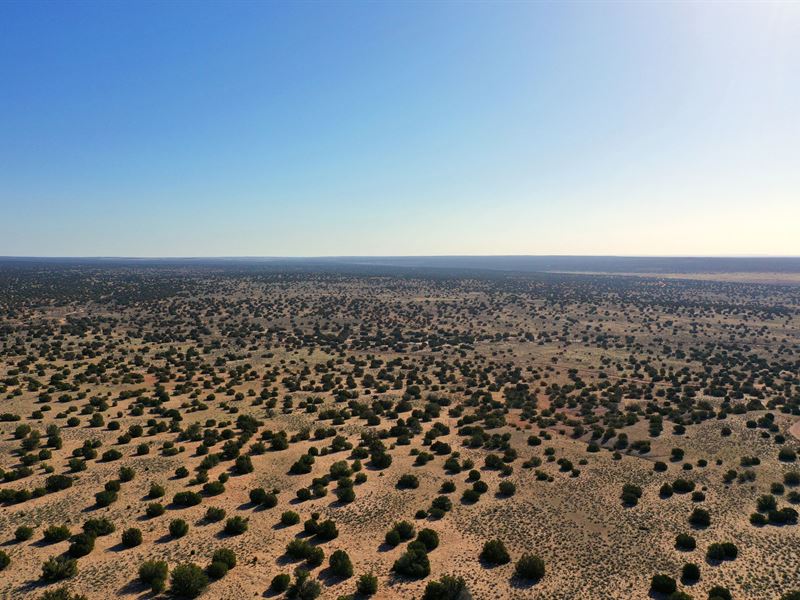 20 Acres in Az, Owner Financing : Saint Johns : Apache County : Arizona