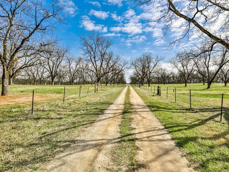 Reduced, Hickory Grove Orchards Gen : Sparta : Hancock County : Georgia
