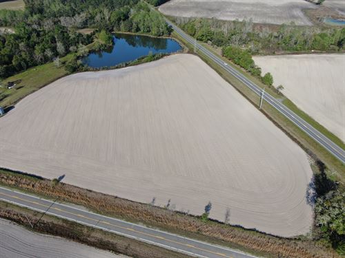10.69 Acres in Coffee County, GA : Nicholls : Coffee County : Georgia
