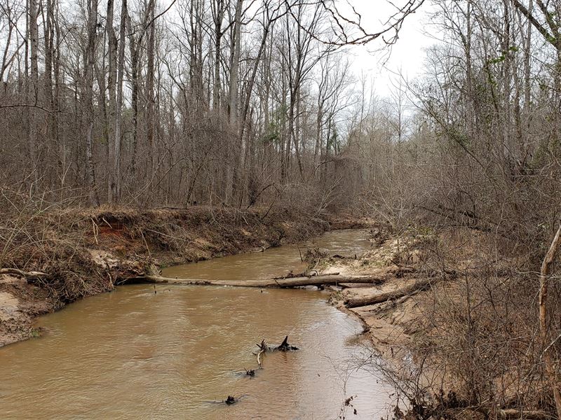 Heavily Timbered on Lazer Creek : Shiloh : Talbot County : Georgia
